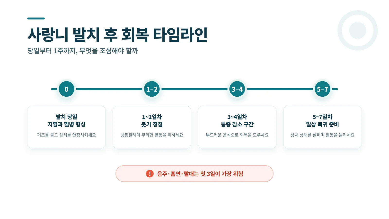 사랑니 발치 후 회복 타임라인 인포그래픽. 당일부터 1주까지 단계별 관리 포인트를 보여준다