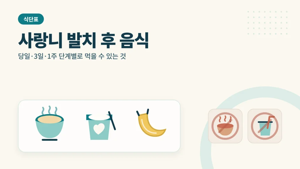 사랑니 발치 후 음식 대표 이미지