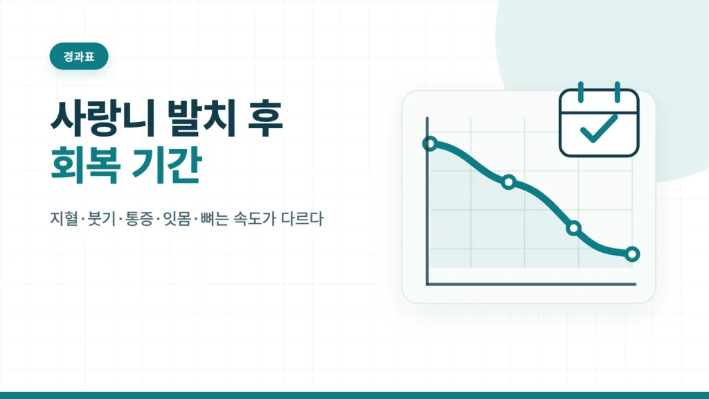 사랑니 발치 후 회복 기간 대표 이미지