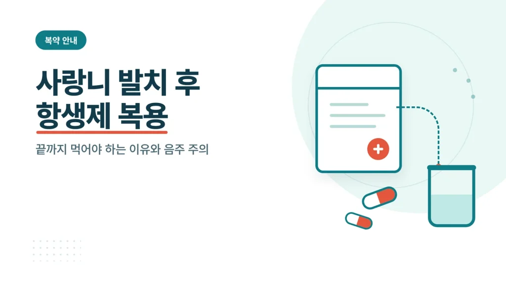사랑니 발치 후 항생제 복용 대표 이미지